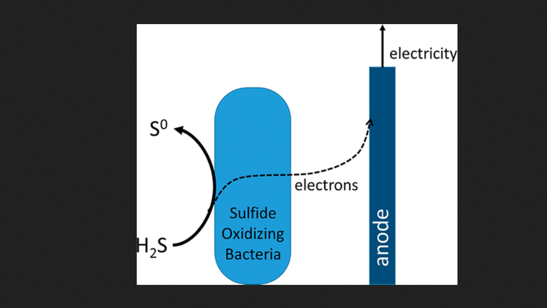 Wetsus en WUR ontwikkelden een methode om Waterstofsulfide (H2S) om te zetten in energie