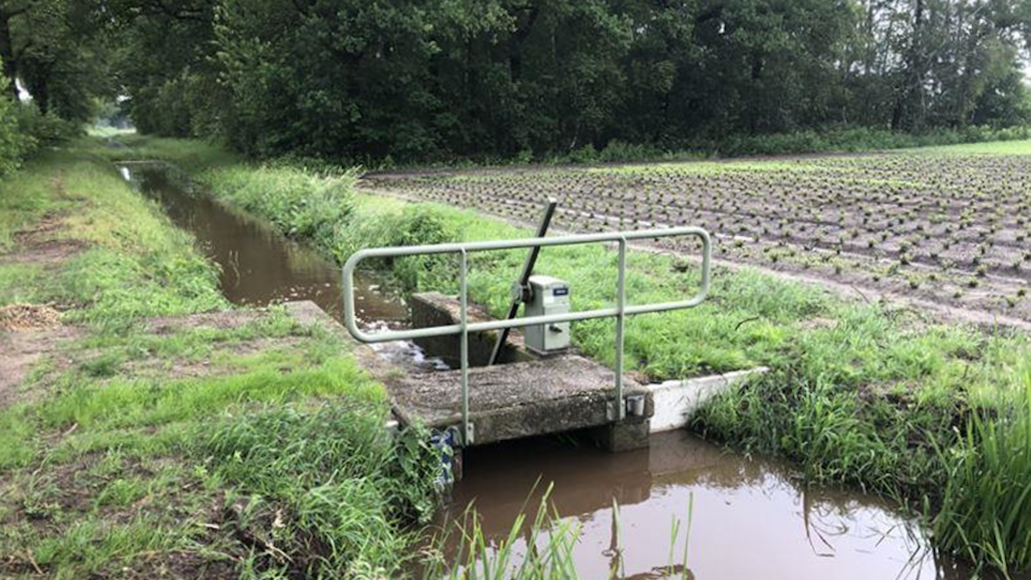 stuw dommel automatisering droogte 