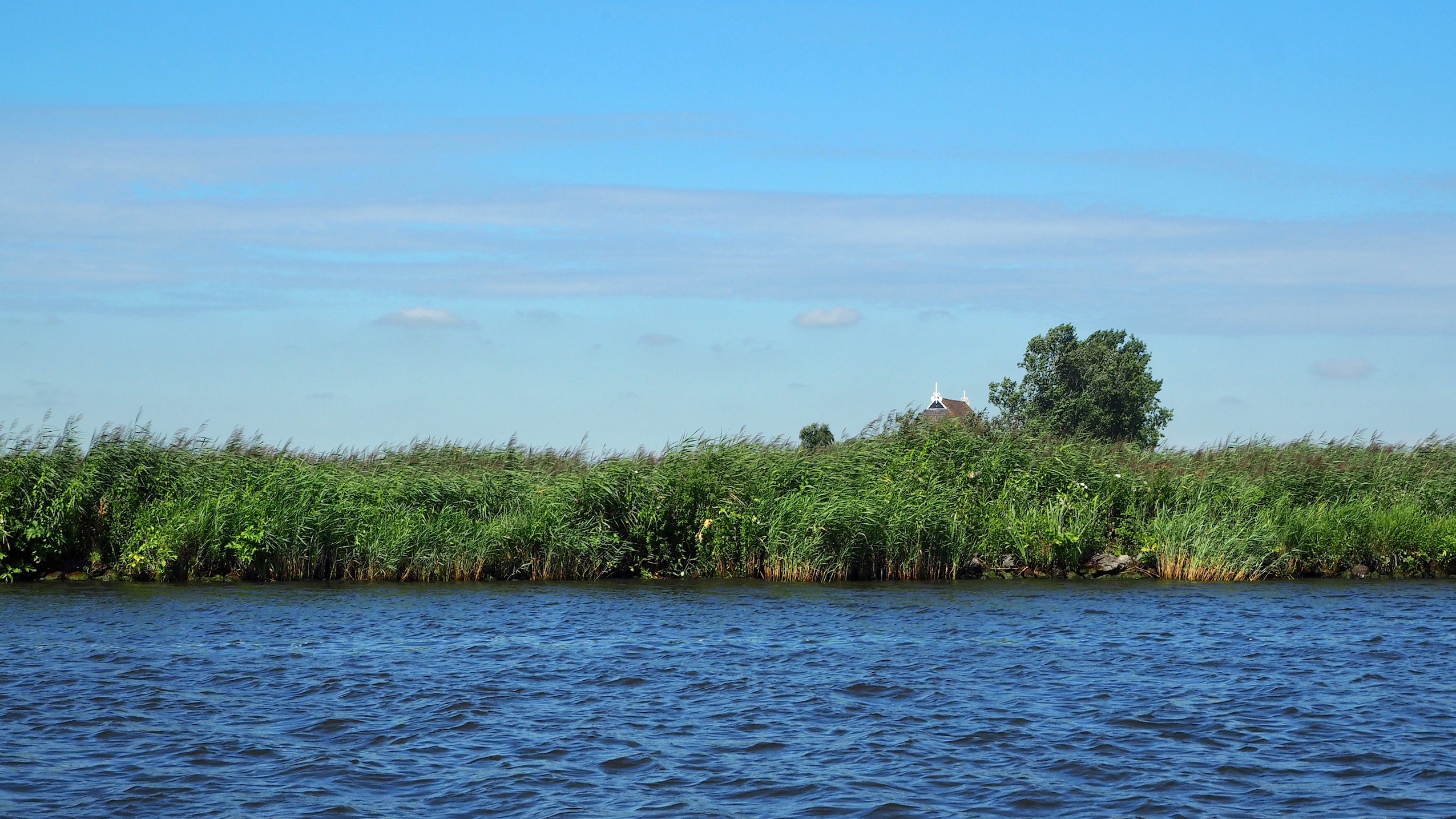 veenweidegebied Friesland Deltares bodemdaling zoetwaterstrategie