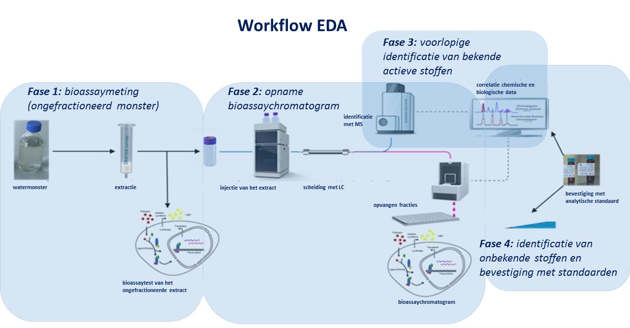 Figuur 1 workflow EDA NLD