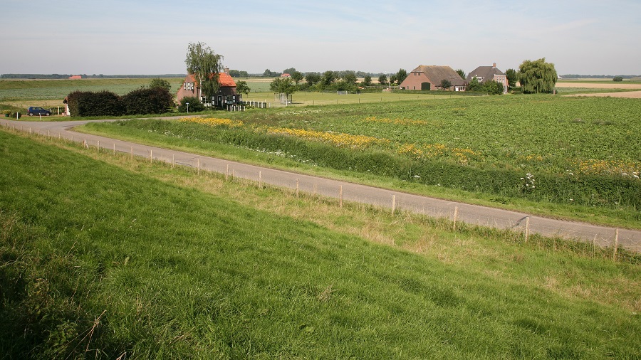 Groene acties Hollandse Delta