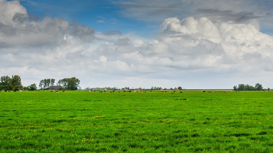 Waterkwaliteit in Vlaams landbouwgebied